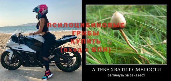 a pvp Сосновый Бор