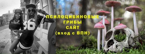твердый Заполярный