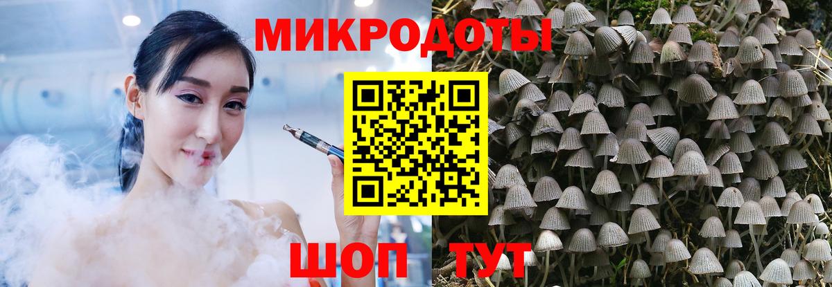 Псилоцибиновые грибы Psilocybe  продажа наркотиков  Владивосток 