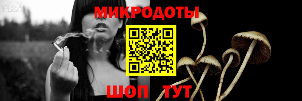 Псилоцибиновые грибы GOLDEN TEACHER  Вход с VPN  Владивосток  наркота  Галлюциногенные грибы мухоморы 